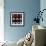 Domino-Denise Duplock-Framed Giclee Print displayed on a wall