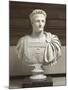 Domitien (empereur de 81 à 96 ap J.-C.)-null-Mounted Giclee Print