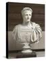 Domitien (empereur de 81 à 96 ap J.-C.)-null-Stretched Canvas