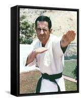 Don Adams-null-Framed Stretched Canvas