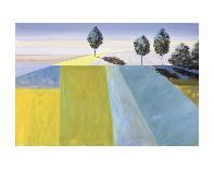 Tuscan Reverie-Don Almquist-Art Print