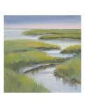 Winding Everglade-Don Almquist-Art Print