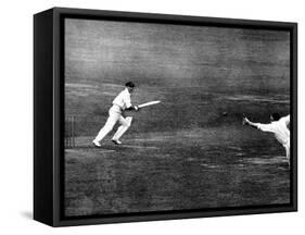 Don Bradman Square Cuts at Lord's, 1930-null-Framed Stretched Canvas