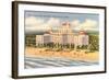 Don Ce-Sar Hotel, Pass-A-Grille-null-Framed Art Print