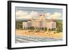 Don Ce-Sar Hotel, Pass-A-Grille-null-Framed Art Print