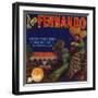 Don Fernando Brand - San Fernando, California - Citrus Crate Label-Lantern Press-Framed Art Print