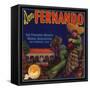 Don Fernando Brand - San Fernando, California - Citrus Crate Label-Lantern Press-Framed Stretched Canvas