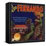 Don Fernando Brand - San Fernando, California - Citrus Crate Label-Lantern Press-Framed Stretched Canvas