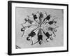 Don Floripondio 1939-null-Framed Photographic Print