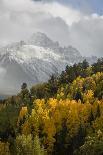 USA, Colorado, Gunnison NF. Aspen Grove at Peak Autumn Color-Don Grall-Photographic Print