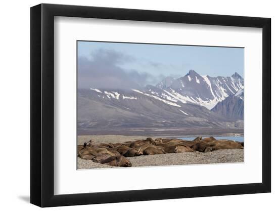 Photographic Print, , large