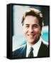 Don Johnson-null-Framed Stretched Canvas