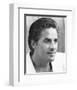 Don Johnson-null-Framed Photo