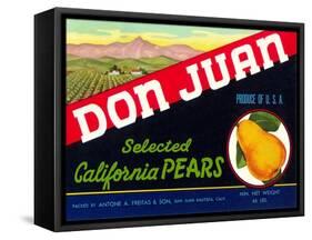 Don Juan Pear Label-null-Framed Stretched Canvas