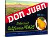 Don Juan Pear Label-null-Stretched Canvas