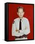 Don Knotts-null-Framed Stretched Canvas