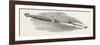 Don Manuel De Ysasi, Toledo Sword, 1851-null-Framed Giclee Print