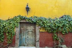 Mexico, San Miguel de Allende. Doorway to colorful building.-Don Paulson-Photographic Print