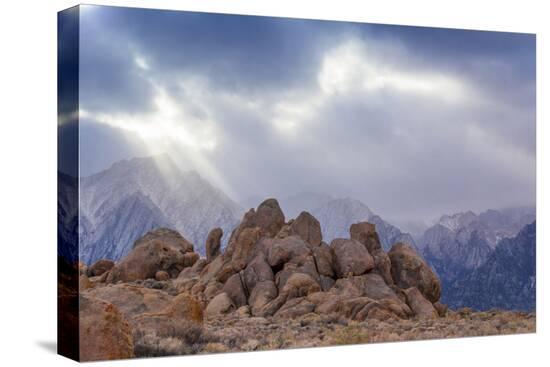 Stretched Canvas Print, , large