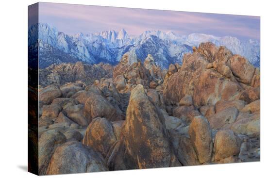 Stretched Canvas Print, , large