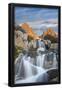 Essential Black