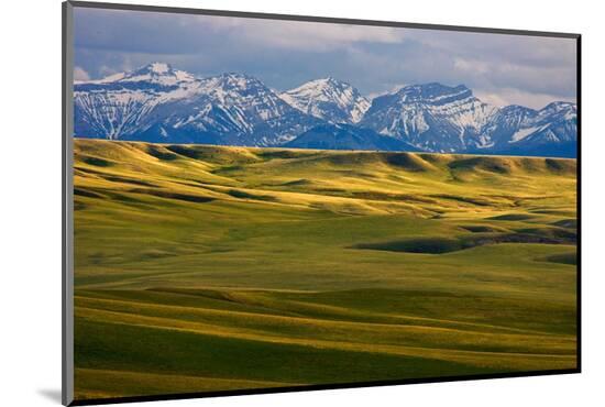 Photographic Print, , large