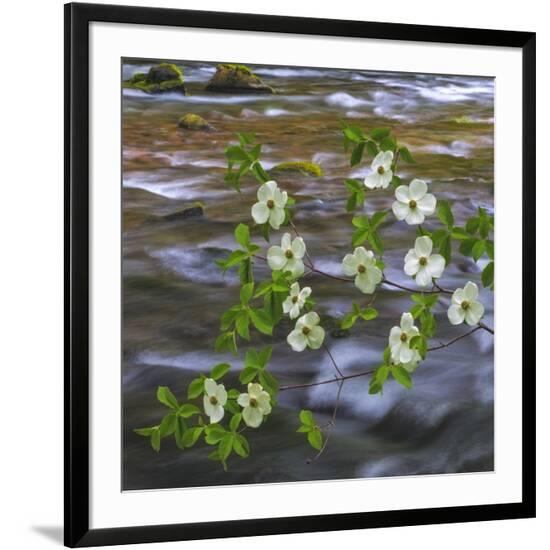 Framed Photographic Print, , large