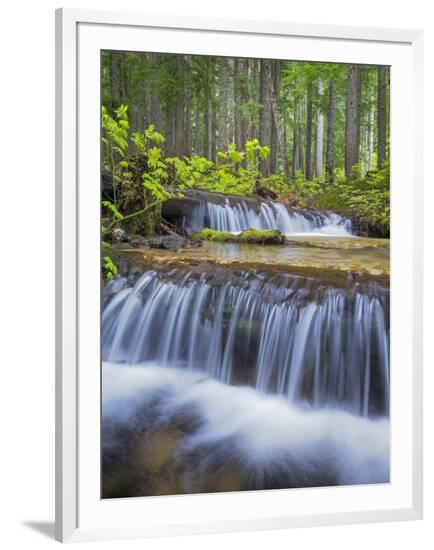 Framed Photographic Print, , large
