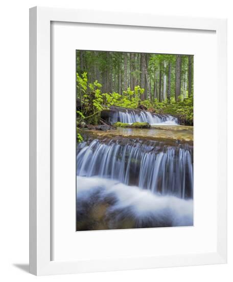 Framed Photographic Print, , large