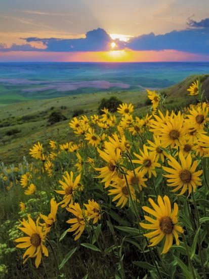 Photographic Print, , large