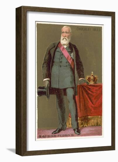 Don Pedro II, Emperor of Brazil-null-Framed Giclee Print