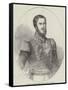 Don Pedro II, Emperor of Brazil-null-Framed Stretched Canvas