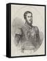 Don Pedro II, Emperor of Brazil-null-Framed Stretched Canvas