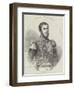 Don Pedro II, Emperor of Brazil-null-Framed Giclee Print