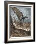 Don Quixote and the Windmills-Stefano Bianchetti-Framed Giclee Print