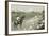 Don Quixote C1910-Chris Hellier-Framed Photographic Print