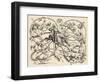 Don Quixote Fighting the Herd of Sheep, Mistaking Them for Two Armies, 1839, from 'The Garden…-German School-Framed Giclee Print