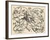 Don Quixote Fighting the Herd of Sheep, Mistaking Them for Two Armies, 1839, from 'The Garden…-German School-Framed Giclee Print