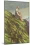 Don Quixote on the Sierra Morena Doing Penance-Sir John Gilbert-Mounted Giclee Print