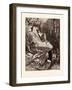 Don Quixote's Madness-Gustave Dore-Framed Giclee Print