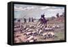 Don Quixote the Adventure with the Sheep-F. Panizza-Framed Stretched Canvas
