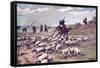 Don Quixote the Adventure with the Sheep-F. Panizza-Framed Stretched Canvas