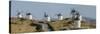 Don Quixote Windmill Panorama, Consuegra, Castile-La Mancha, Spain, Europe-Charles Bowman-Stretched Canvas