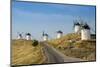 Don Quixote Windmills, Consuegra, Castile-La Mancha, Spain, Europe-Charles Bowman-Mounted Photographic Print