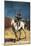 Don Quixote-Honore Daumier-Mounted Art Print