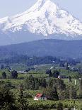 Mount Hood over Houses Scattered amongst Orchards and Firs, Pine Grove, Oregon-Don Ryan-Stretched Canvas