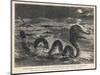 Don Sea Serpent-F. De Haanen-Mounted Art Print