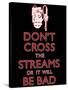 Don't Cross The Streams-null-Stretched Canvas