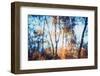 Don't Even Ask-Philippe Sainte-Laudy-Framed Photographic Print