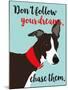 Don’t Follow Your Dreams, Chase Them-Ginger Oliphant-Mounted Premium Giclee Print